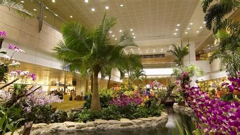 diskretion in der sauna am flughafen